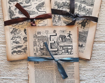 Antique Vintage Dictionary Pages (25)- Vintage paper ephemera lot paper pack, la nouveau, antique ephemera, French paper, Larousse, antique