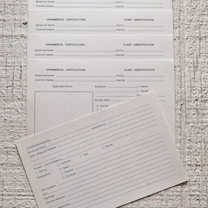 Tarjeta de identificación de plantas vintage, efímera de papel vintage, tarjeta de identificación, tarjeta en blanco, tarjeta de catalogación de plantas, tarjeta de planta