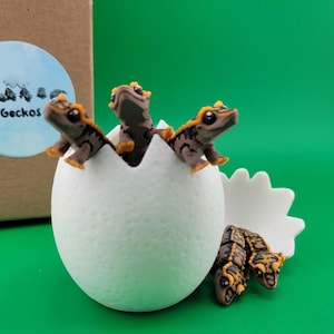 May include: Four small gecko figurines hatching from a white egg. The geckos are brown with orange accents. The egg is sitting on a green surface. The word "Geckos" is written on a blue circle in the background.
