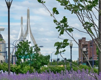 Zakim Bridge - Boston Photo -  massachusetts 5x7 photo matted to 8x10 inches