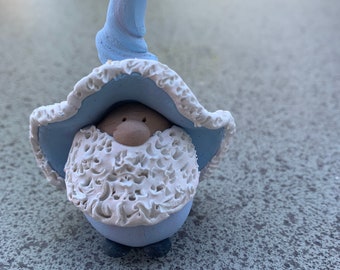 Mr. Winter Gnome