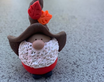 Mr. Autumn Gnome