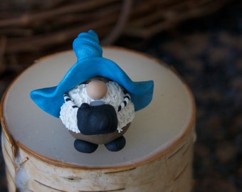 Mr. GNikon Photographer Gnome
