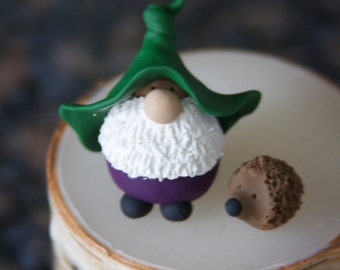 Mr. Green Hat Purple Pants Gnome and His Pet Hedgehog