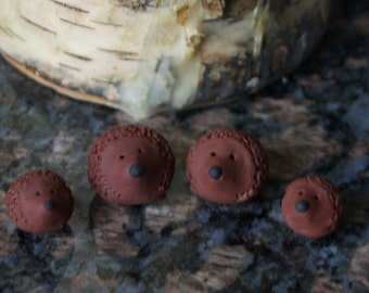 The Hedgehog Family, Mr./Mrs and Their Babies