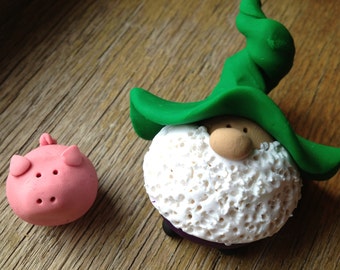 Mr. Pick-a-Gnome and His Pet Piglet