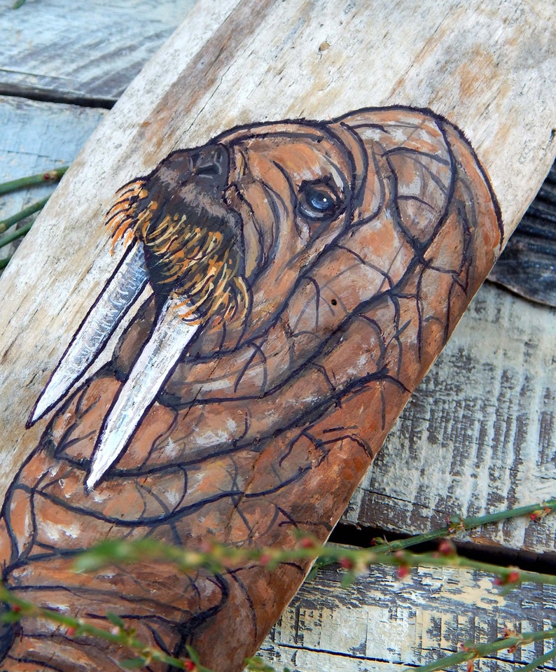 Male WALRUS Hand Painted DRIFTWOOD Sea life Stones Seal Rock | Etsy