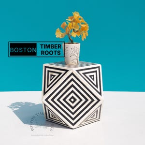 May include: A geometric black and white side table with a small potted plant with yellow leaves. The table has a repeating square pattern. The text "BOSTON TIMBER ROOTS" is in the upper left corner.