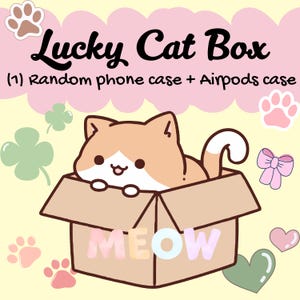LUCKY CAT BOX: (1) Random Phone Case + (1) Random Airpods Case - for any phone model iPhone/ Android