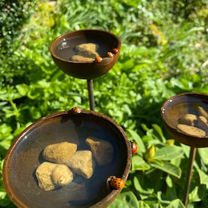 May include: Three dark brown ceramic bowls on metal stakes, each filled with water and light-coloured stones. Several small orange ladybirds with black spots are perched on the rims of the bowls, which are positioned at varying heights.
