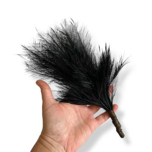 May include: A hand holding a bunch of black feathers. The feathers are long and have a soft, fluffy texture with a glossy appearance. The base of the feathers is wrapped in brown material, forming a handle.