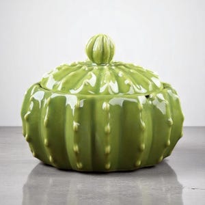 Ceramic Cactus Ashtray with Lid – Unique Storage Jar, Tea Canister, Sealed Box, Fun Gift for Home or Office Decor