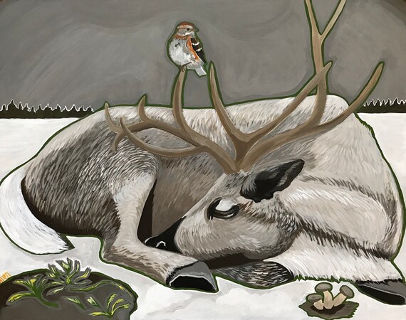 20+ Inspiration Easy Caribou Moss Drawing | What Ieight Today
