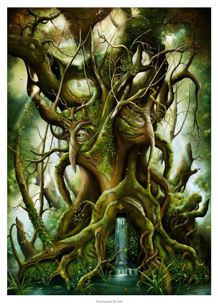 enchanted woods tree magic a3 deviantart fantasy 7x16 forest shannon john emanuel trees alive favorites arbre