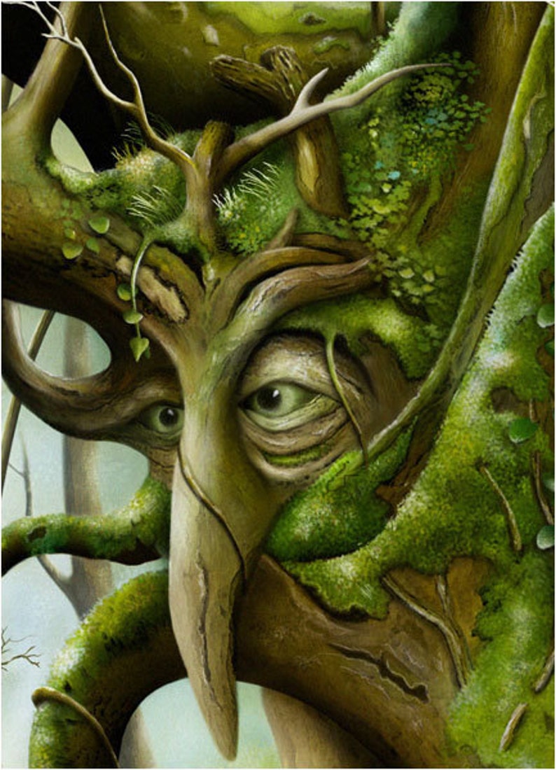 Art Print Enchanted Woods Magic Tree A3 11.7x16.5 | Etsy