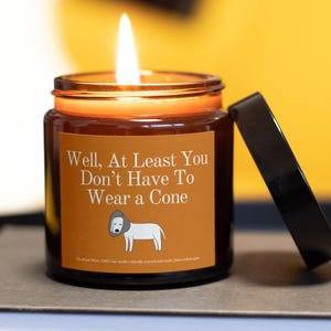Funny Get Well Soon Gift, Recovery Candle, Patient Gift, Chemo Recovery gift, Dog Cone Candle, After Surgery Gift, Surgery Recovery Gift
