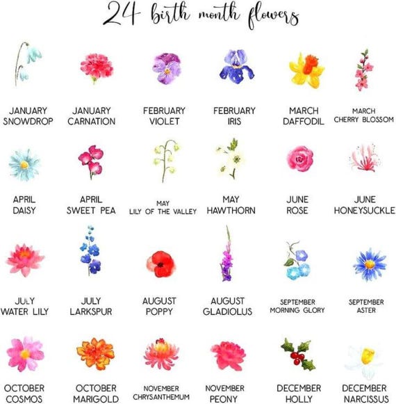 Grandma’s Garden Personalized Flower Pot, Custom Birth Flower Gift, Mother’s Day Gift from Grandkids, Custom Planter Gift, Ceramic Pot