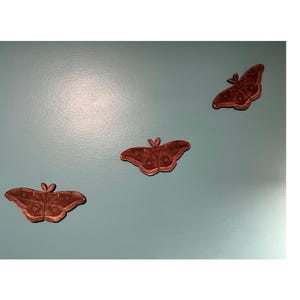 Cedar Moth Polyphemus Wall Art, Decoration, Cedar Moth Repellent, Moth Wood Toy  Laser Engraved