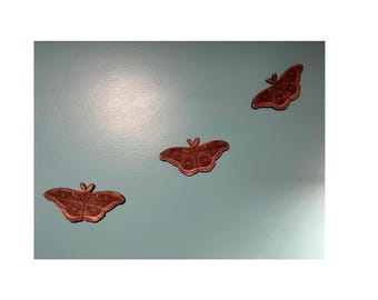 Cedar Moth Polyphemus Wall Art, Decoration, Cedar Moth Repellent, Moth Wood Toy  Laser Engraved