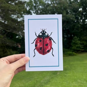 Ladybug Art Print