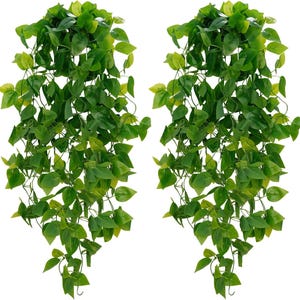 Pode incluir: Duas videiras artificiais verdes penduradas com caules longos e muitas folhas. As videiras são perfeitas para adicionar um toque de vegetação a qualquer espaço.