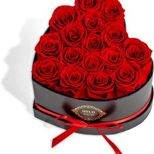 16 Preserved Roses in Heart-Shaped Box, Flowers for Delivery Prime Last up 2 Years, Real Forever Flowers for Wife, Girlfriend, Mother,