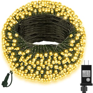 Puede incluir: Una cadena enrollada de luces LED blanco cálido sobre un cable verde oscuro. Las luces están agrupadas, creando un efecto brillante. Un adaptador de corriente negro con un dial y un enchufe es visible a la derecha. Para uso decorativo.