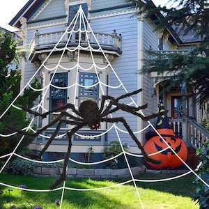 May include: A large, black, furry spider with red eyes is suspended in a white spiderweb, creating a spooky Halloween decoration. The web is strung in front of a house with a jack-o'-lantern and witch's hat on the porch.