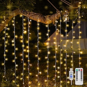 May include: Warm white string lights hanging from a tree branch, forming a curtain. Includes a USB connector and a remote control with various button options. Two small lanterns are suspended from the branch.