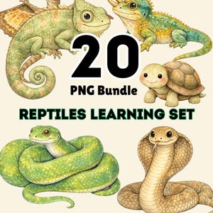 Pode incluir: Ilustração digital de répteis: camaleão, lagarto, tartaruga e cobras. A imagem inclui o texto "20 PNG Bundle" e "Reptiles Learning Set". As ilustrações são em estilo aquarela.