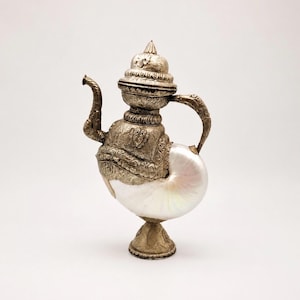 Op de afbeelding: Een sierlijke zilveren theepot met een nautilusschelp als lichaam. De theepot heeft ingewikkelde gegraveerde ontwerpen, een gebogen tuit en een handvat. Hij staat op een decoratieve voet, met een mix van natuurlijke en ambachtelijke elementen. Een uniek decoratief item.