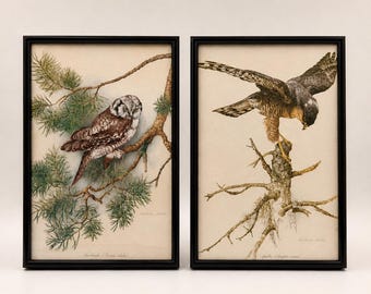 Saldi anniversario con sconto del 20% - Set di 2 stampe ornitologiche tedesche vintage, illustrazioni di uccelli di Wilhelm Bühler, stampe di uccelli incorniciate