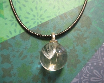 Dandelion Specimen Necklace -  Glass Pendant on Black Cord