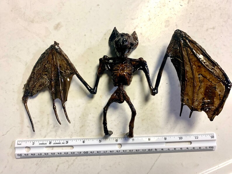 Mummified Fake Bat Handcrafted Horror Halloween Prop Decor Etsy