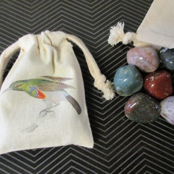 MINI ROCK COLLECTION - Tropical Bird Printed Bag with Tumbled Jasper Stones