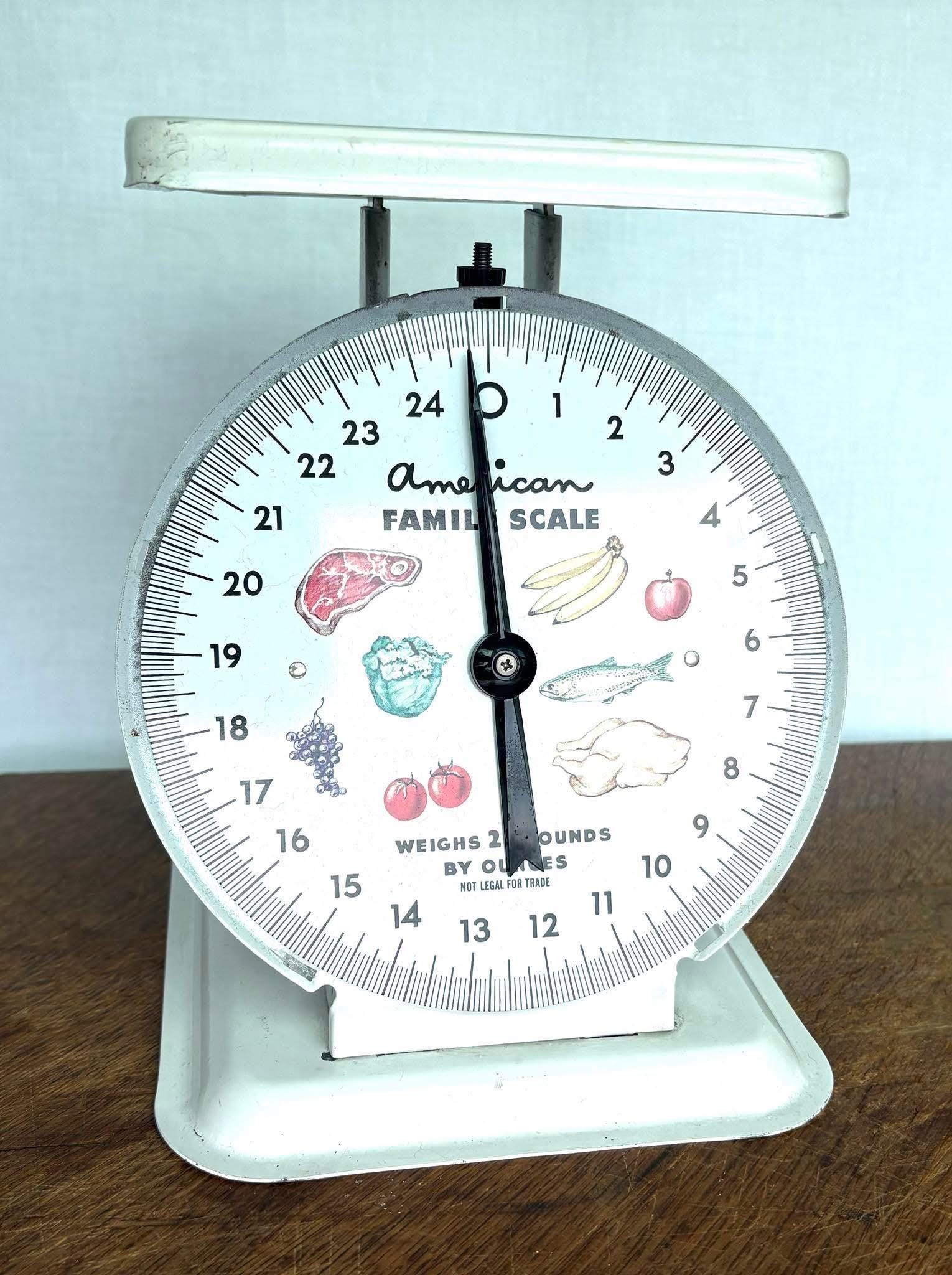 America Family Scale - Etsy