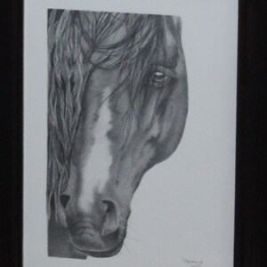Wild Horses, Pencil Sketch, Digital Download
