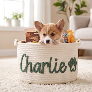 May include: A cream-colored rope basket with the name "Charlie" in green script and a paw print. A corgi puppy peeks over the edge, surrounded by dog treats and toys. The basket sits on a white rug.