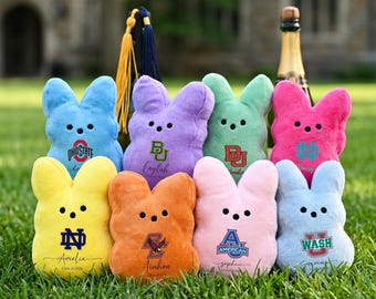 Graduation Bunny Plush Toy, Soft Rabbit Stuffed Animal Gift for Students, Class of 2026 Cute keepsake gift