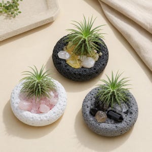 以下が含まれることがあります： 緑色のエアプランツが入った3つの円形多孔質石製プランター。1つは白でローズクォーツ入り、1つは黒で黄色と透明な結晶入り、もう1つは灰色で黒と透明な結晶入りです。それぞれの石の土台はざらざらとした質感です。