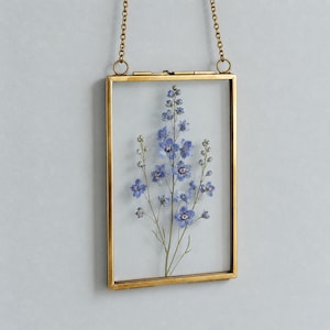 May include: A rectangular gold-coloured metal frame with a chain for hanging. Pressed blue flowers are displayed between glass panes. The flowers have small petals and are arranged vertically. The frame measures approximately 15 cm x 10 cm.
