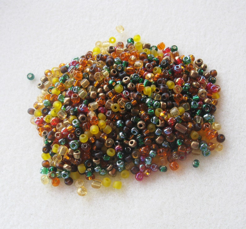 Jewelry Making Beads Glass Seed Beads 'autumn' Bead Etsy