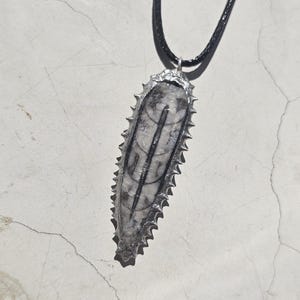 Orthoceras Pendant