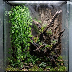 Peut inclure: Un terrarium en verre contenant un mur vertical dense de lierre vert, un grand morceau de bois flotté texturé et diverses petites plantes, dont des fougères et des tillandsias. L'intérieur est rempli d'une brume légère et de mousse.