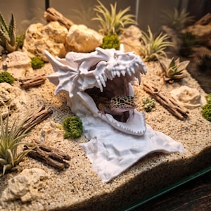 Può includere: Un rifugio per rettili a forma di teschio di drago bianco stampato in 3D con la mascella aperta, posizionato in un terrario sabbioso. Un geco leopardo maculato riposa all'interno della bocca cava del teschio, circondato da rocce e piante.