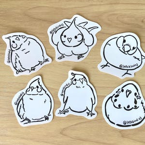 Op de afbeelding: Zes witte stickers met zwarte lijntekeningen van vogels in verschillende poses. Elke sticker heeft de tekst "@letsbird3" erop gedrukt. De stickers zijn gerangschikt op een lichtbruin houten oppervlak.