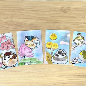 Cartes de voeux oiseaux, art de la nature avec moineau, martin-pêcheur, oeil blanc, bulbe, cartes postales vierges A6 oiseaux pour amateurs d'oiseaux et cadeaux, lot de 4