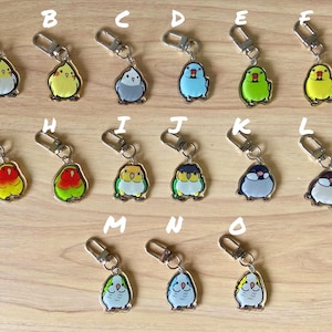 Op de afbeelding: Een set van 15 kleurrijke sleutelhangers met verschillende soorten vogels. Elke sleutelhanger heeft een zilveren metalen ring en een transparante plastic hanger met een gedetailleerde illustratie van een vogel. De vogels omvatten een gele kanarie, een blauwe parkiet, een groene parkiet, een witte kaketoe, een rood-gele parkiet en een zwart-witte vink.
