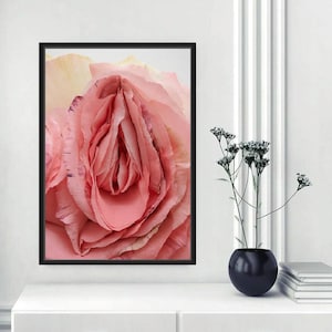 Lienzo con primer plano de una rosa rosada – Decoración floral romántica para pared – Estampado floral con textura de tela suave