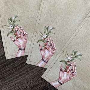 Folhas para escrever cartas - Olivia